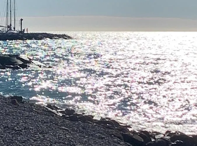 Port Plage Centre Ville Et Soleil
