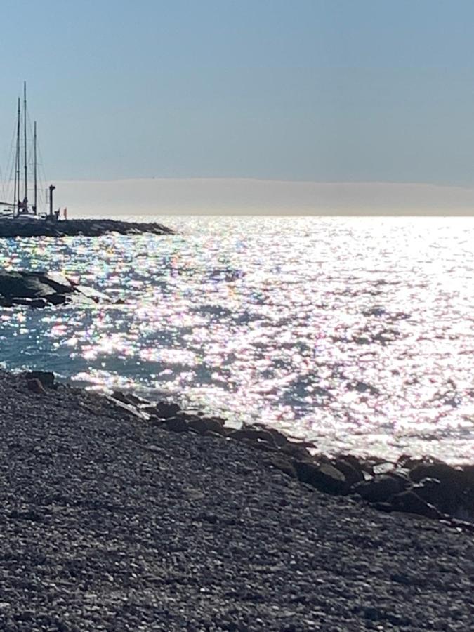 Port Centre Et Soleil